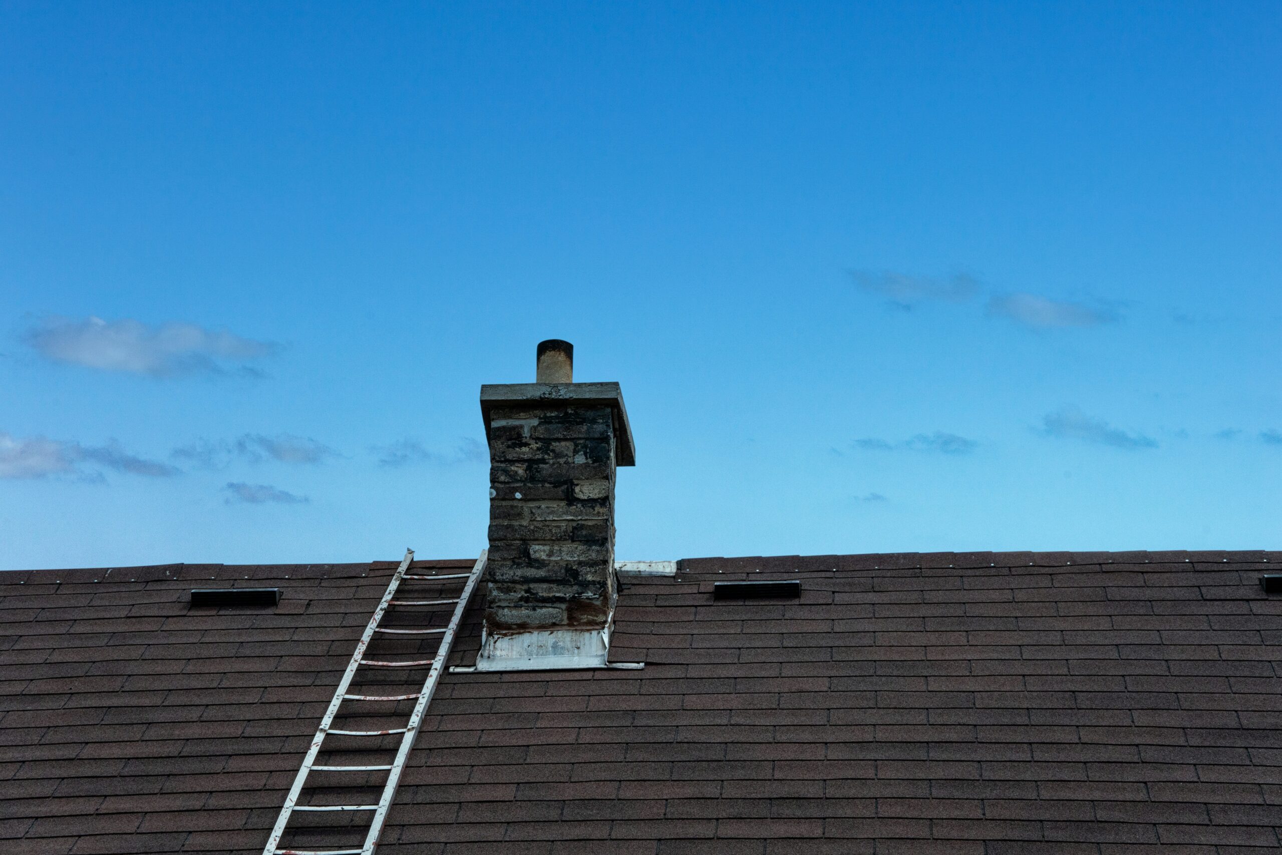 Wildlife exclusion and home sealing services